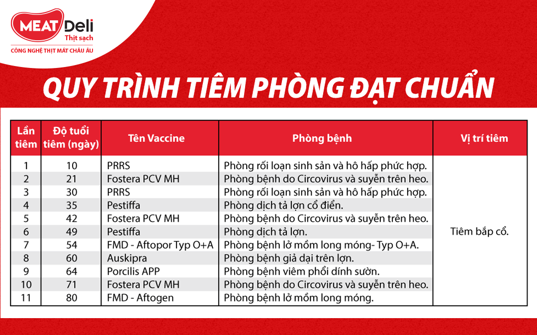 Thịt Heo MEATDeli An Toàn Tuyệt Đối Với Quy Trình Tiêm Phòng Đạt Chuẩn Và 3 Tuyến Kiểm Dịch 