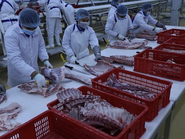 Tổ hợp chế biến thịt mát 1.000 tỷ đồng của Masan vận hành